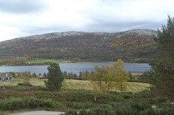 Lomsjøvola