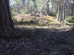 Øst for Breivoll