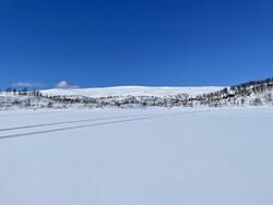 Nydalheia