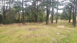 Gravhaug fra jernalder, Begby