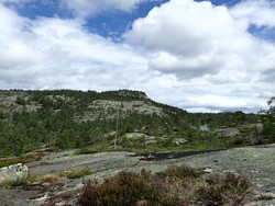 Stolsvassnuten