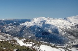 Røgjin