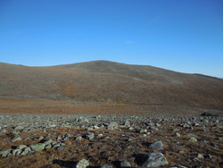 Selskampen