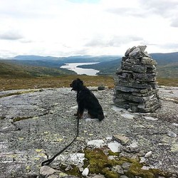 Grønvollhøgda
