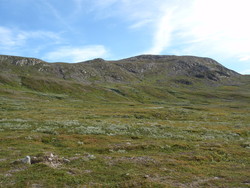 Laptenjahke
