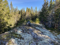 Stortjennhøgda