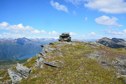 Reinsnuten