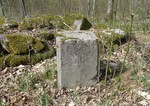 Bystein 31