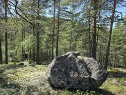 Bergsetervollen