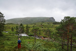 Hongfjellet