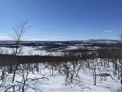 Sakkaravaara