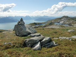 Tåkenuten
