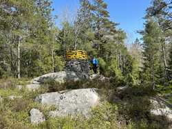 Riksrøys I