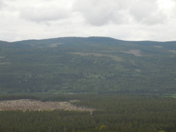 Østre Kloppåsen