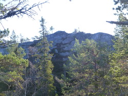 Høgekvævnuten