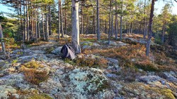 Niveliåsen Vest