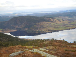 Hostokamben
