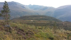 Hafstadhaugen