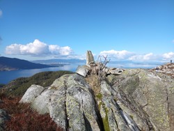 Smørklumpen