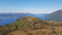 Litlbølia