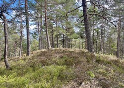 Kringlefjell