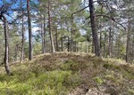 Kringlefjell