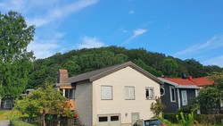 Bokskogen