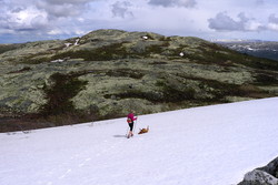 Svarthattan Nordøst