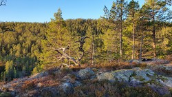 Øst for Raudnuten