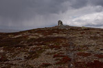 Reinehamaren