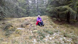 Fallhøgda