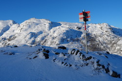 Brekkestølsnuten