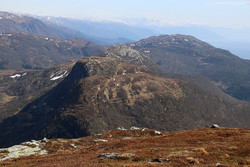 Fløyen