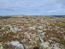 Nord for Akselvola