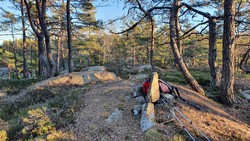 Vestfjella