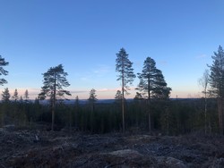 Kjerkehøgda Vest