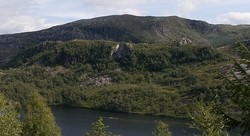 Stiganuten