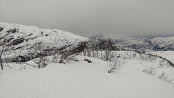Timberhaugen