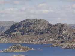 Blåbergåsane