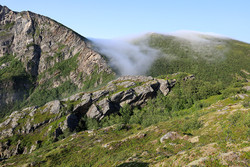 Urtinden