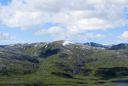 Kaldrasane