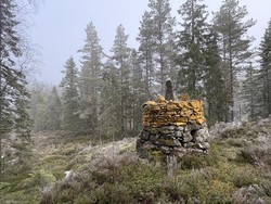 Riksrøys 33