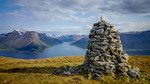 Årvikveten
