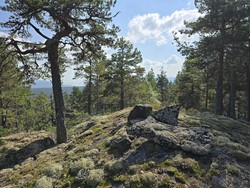 Øst for Svarttjern