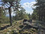 Øst for Svarttjern