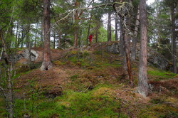 Nysæterhaugen