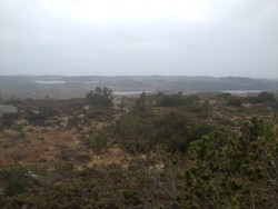 Skrivarvarden