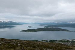 Akselkollen