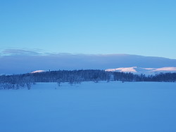 Langehovda