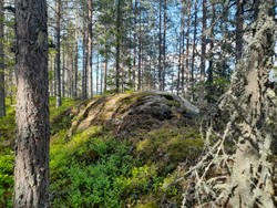 Tuppangfjellet